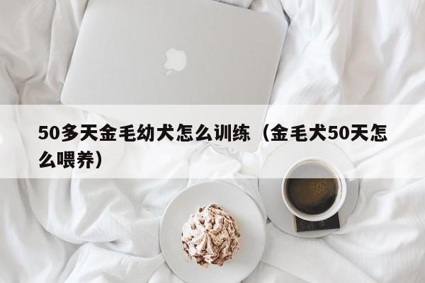 50多天金毛幼犬怎么训练（金毛犬50天怎么喂养）