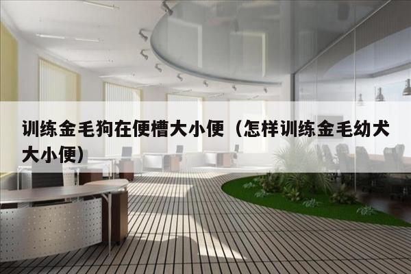 训练金毛狗在便槽大小便（怎样训练金毛幼犬大小便）