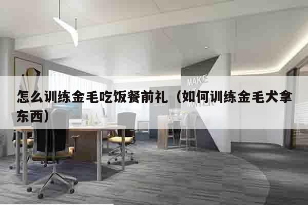 怎么训练金毛吃饭餐前礼（如何训练金毛犬拿东西）