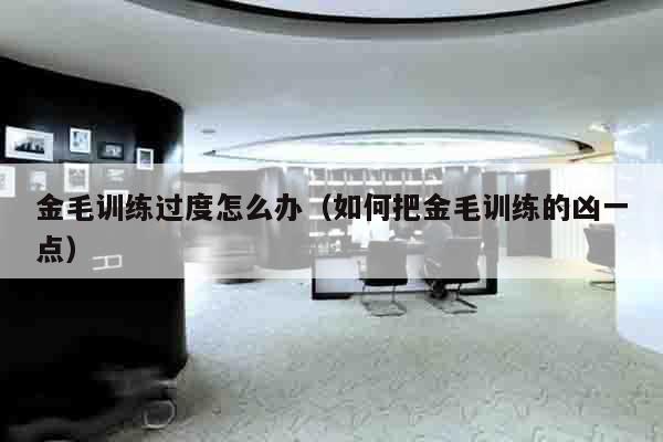 金毛训练过度怎么办（如何把金毛训练的凶一点）