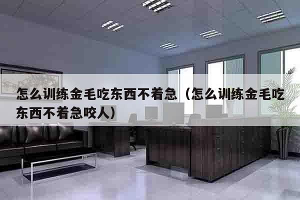 怎么训练金毛吃东西不着急（怎么训练金毛吃东西不着急咬人）