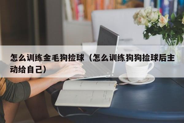 怎么训练金毛狗捡球（怎么训练狗狗捡球后主动给自己）