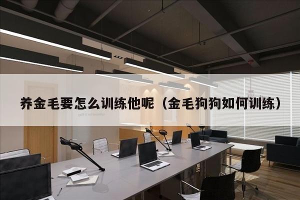 养金毛要怎么训练他呢（金毛狗狗如何训练）
