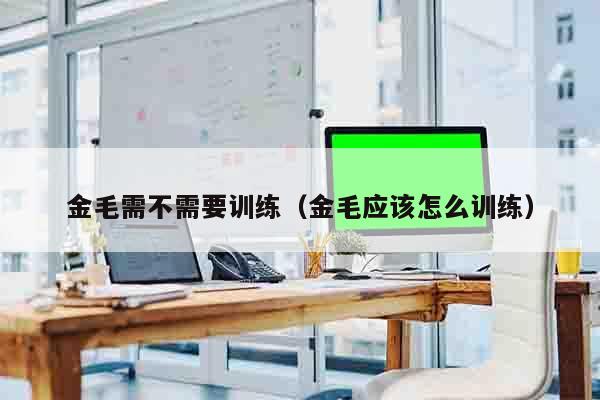 金毛需不需要训练（金毛应该怎么训练）