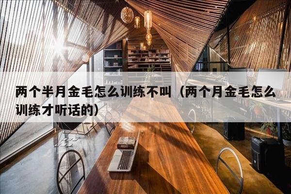 两个半月金毛怎么训练不叫（两个月金毛怎么训练才听话的）