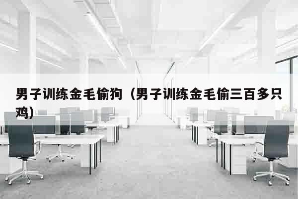 男子训练金毛偷狗（男子训练金毛偷三百多只鸡）