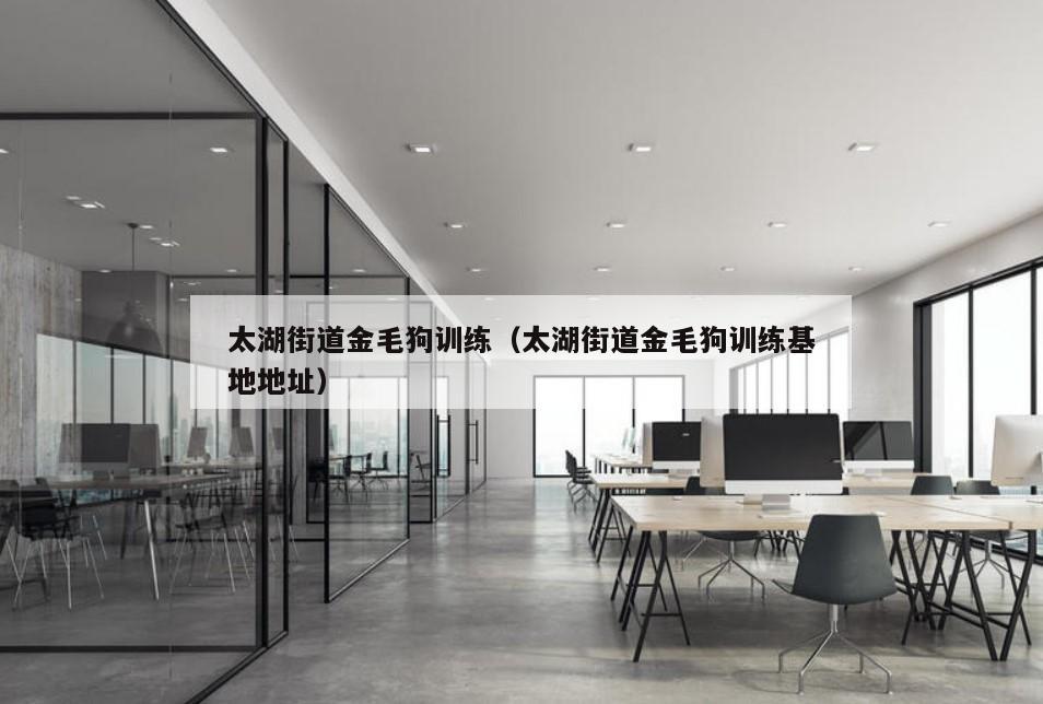太湖街道金毛狗训练（太湖街道金毛狗训练基地地址）