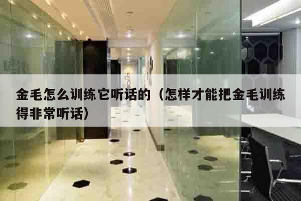 金毛怎么训练它听话的（怎样才能把金毛训练得非常听话）