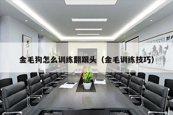 金毛狗怎么训练翻跟头（金毛训练技巧）
