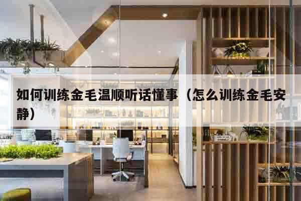 如何训练金毛温顺听话懂事（怎么训练金毛安静）