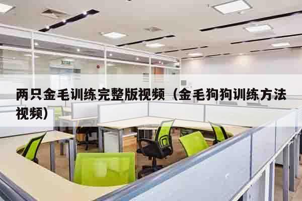 两只金毛训练完整版视频（金毛狗狗训练方法视频）