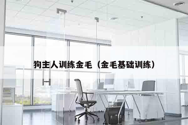 狗主人训练金毛（金毛基础训练）