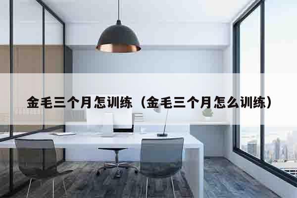 金毛三个月怎训练（金毛三个月怎么训练）
