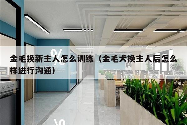 金毛换新主人怎么训练（金毛犬换主人后怎么样进行沟通）