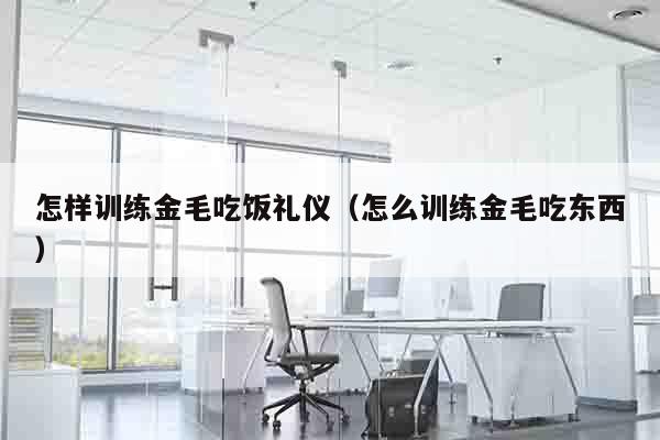 怎样训练金毛吃饭礼仪（怎么训练金毛吃东西）