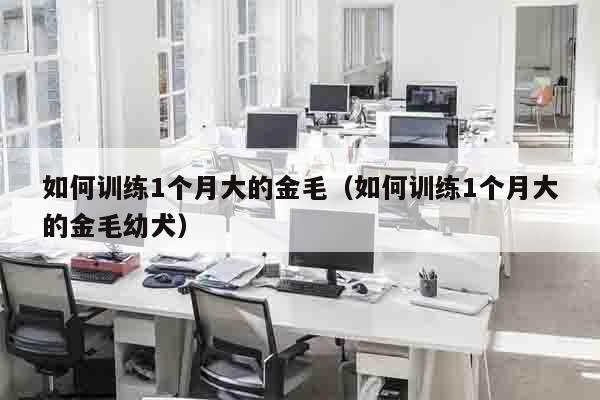 如何训练1个月大的金毛（如何训练1个月大的金毛幼犬）