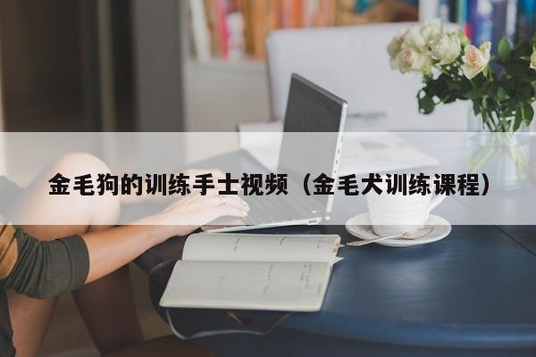 金毛狗的训练手士视频（金毛犬训练课程）