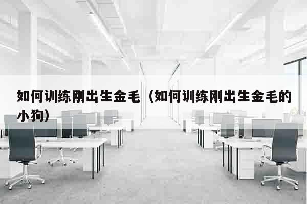 如何训练刚出生金毛（如何训练刚出生金毛的小狗）