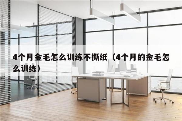 4个月金毛怎么训练不撕纸（4个月的金毛怎么训练）