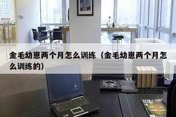 金毛幼崽两个月怎么训练（金毛幼崽两个月怎么训练的）