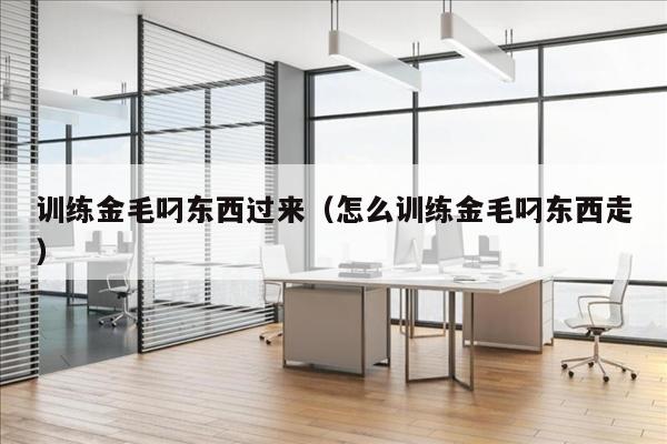 训练金毛叼东西过来（怎么训练金毛叼东西走）