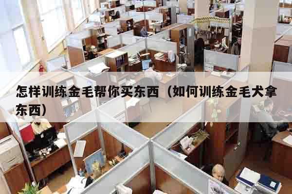 怎样训练金毛帮你买东西（如何训练金毛犬拿东西）