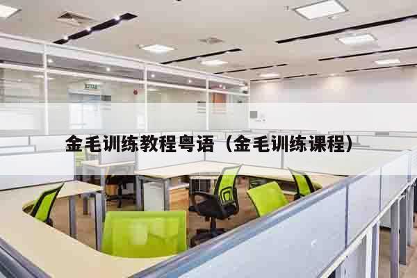 金毛训练教程粤语（金毛训练课程）