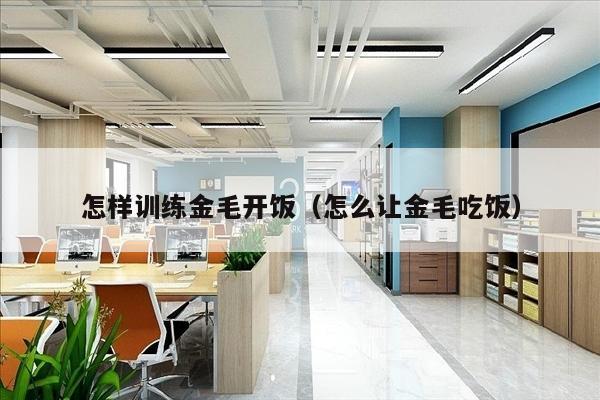 怎样训练金毛开饭（怎么让金毛吃饭）