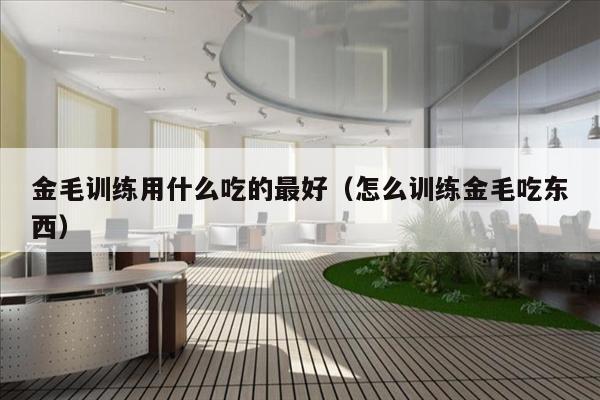 金毛训练用什么吃的最好（怎么训练金毛吃东西）