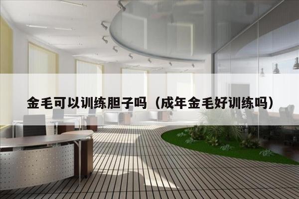 金毛可以训练胆子吗（成年金毛好训练吗）