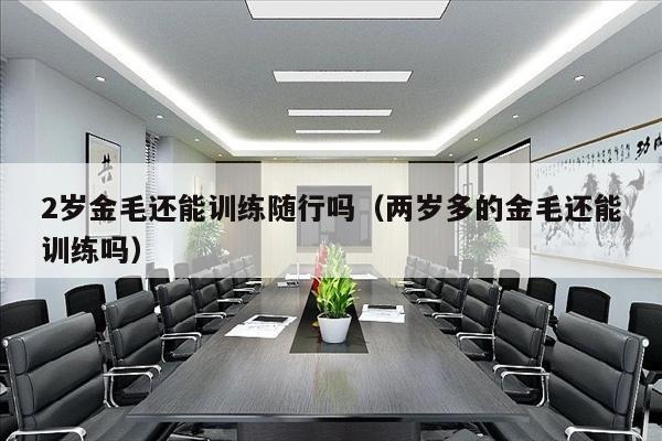 2岁金毛还能训练随行吗（两岁多的金毛还能训练吗）