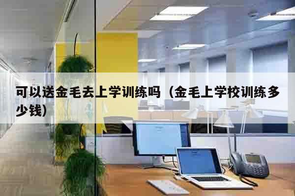 可以送金毛去上学训练吗（金毛上学校训练多少钱）