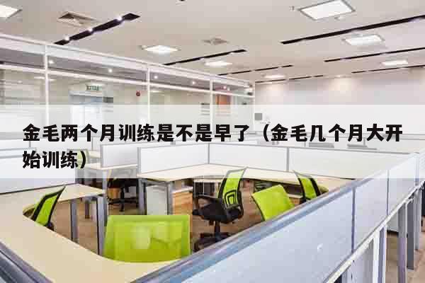 金毛两个月训练是不是早了（金毛几个月大开始训练）