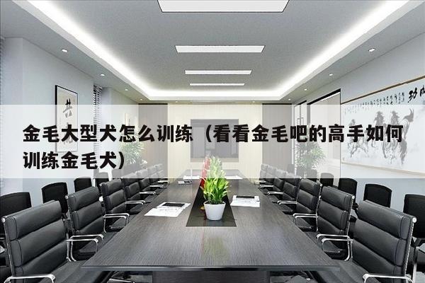 金毛大型犬怎么训练（看看金毛吧的高手如何训练金毛犬）