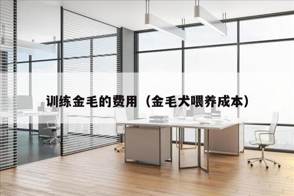 训练金毛的费用（金毛犬喂养成本）