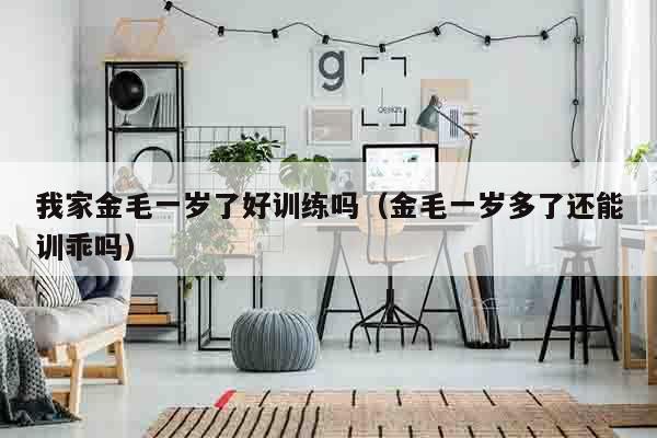 我家金毛一岁了好训练吗（金毛一岁多了还能训乖吗）