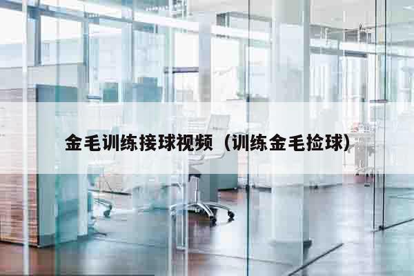 金毛训练接球视频（训练金毛捡球）