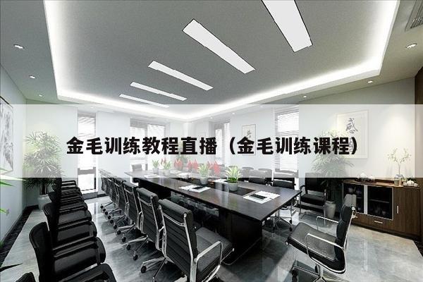 金毛训练教程直播（金毛训练课程）