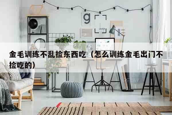 金毛训练不乱捡东西吃（怎么训练金毛出门不捡吃的）