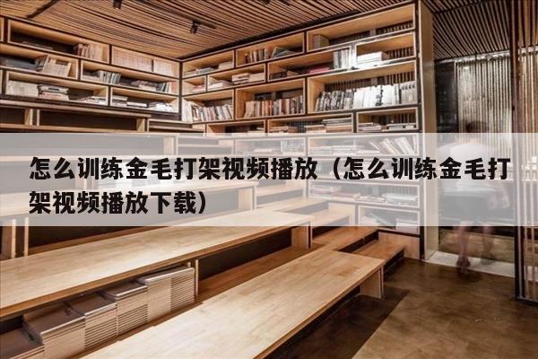 怎么训练金毛打架视频播放（怎么训练金毛打架视频播放下载）