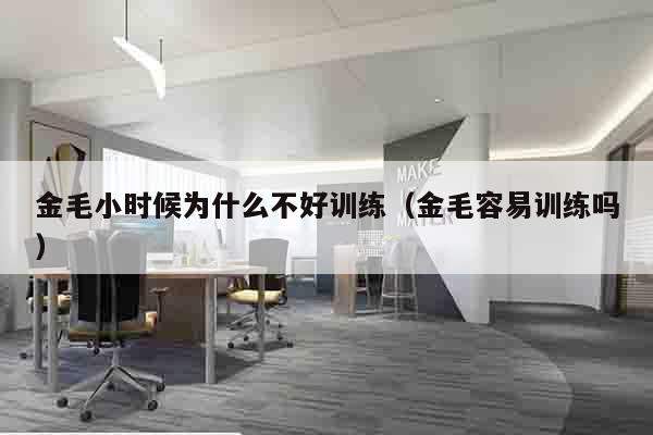 金毛小时候为什么不好训练（金毛容易训练吗）