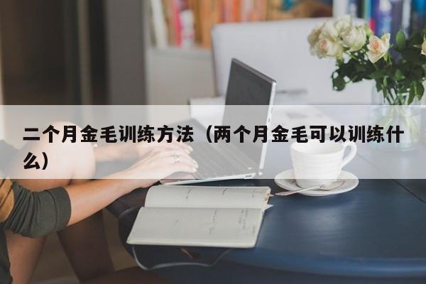 二个月金毛训练方法（两个月金毛可以训练什么）