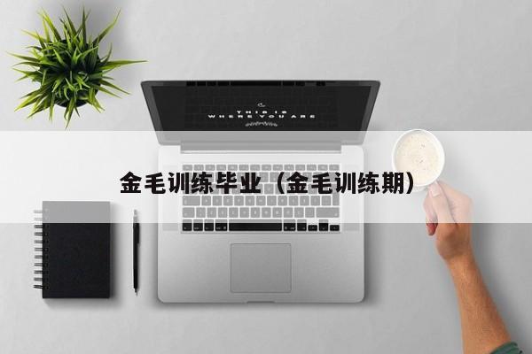 金毛训练毕业（金毛训练期）