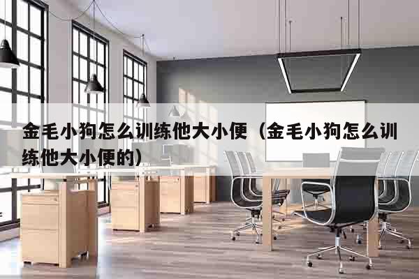 金毛小狗怎么训练他大小便（金毛小狗怎么训练他大小便的）