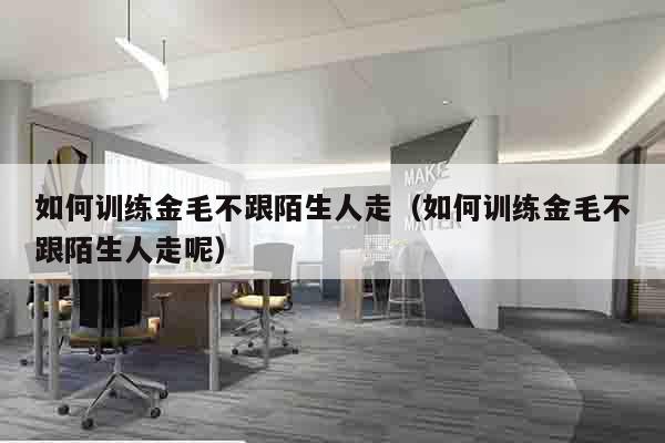 如何训练金毛不跟陌生人走（如何训练金毛不跟陌生人走呢）