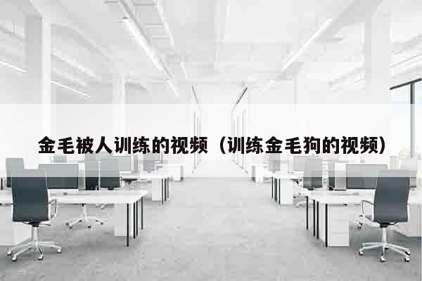 金毛被人训练的视频（训练金毛狗的视频）