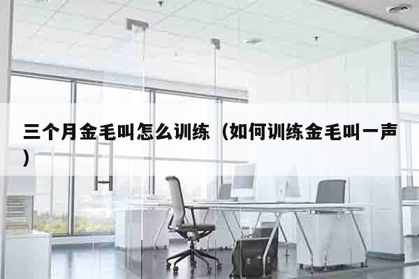 三个月金毛叫怎么训练（如何训练金毛叫一声）