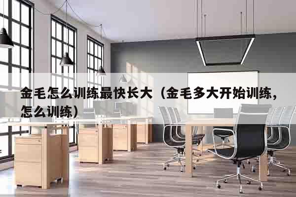 金毛怎么训练最快长大（金毛多大开始训练,怎么训练）