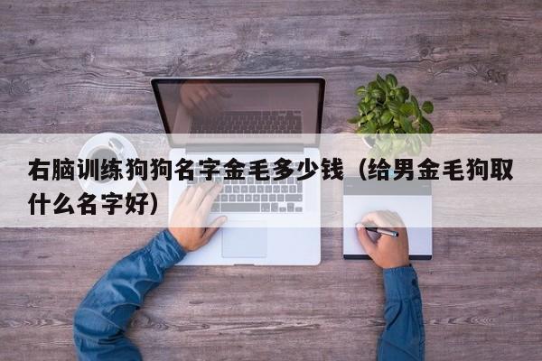 右脑训练狗狗名字金毛多少钱（给男金毛狗取什么名字好）