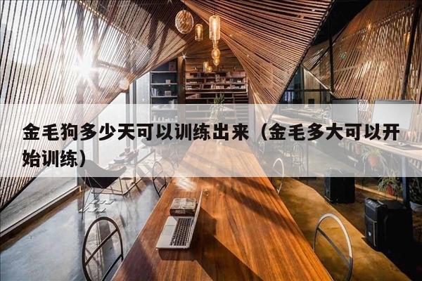 金毛狗多少天可以训练出来（金毛多大可以开始训练）